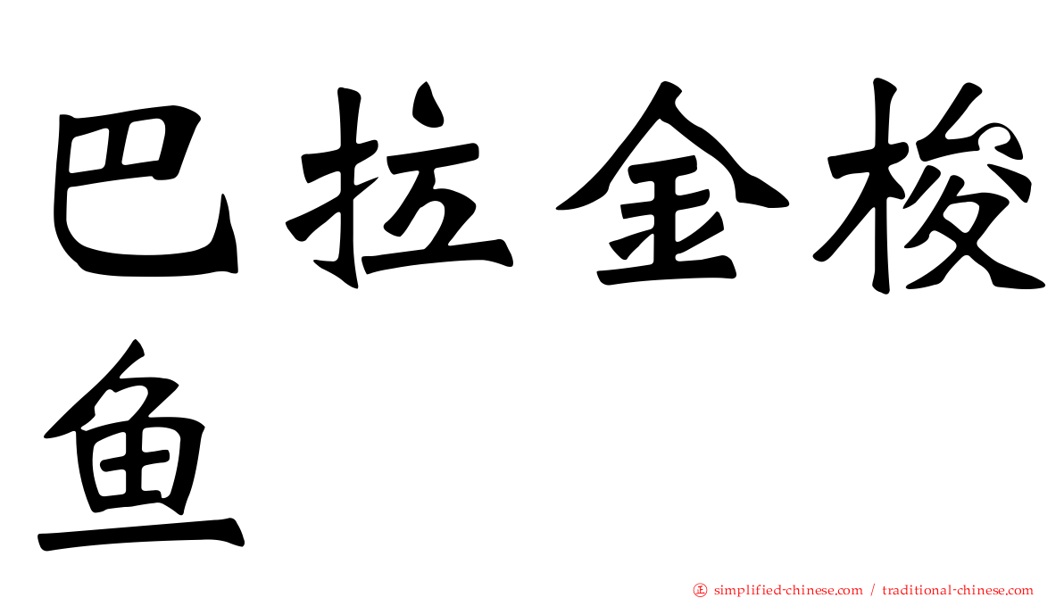 巴拉金梭鱼
