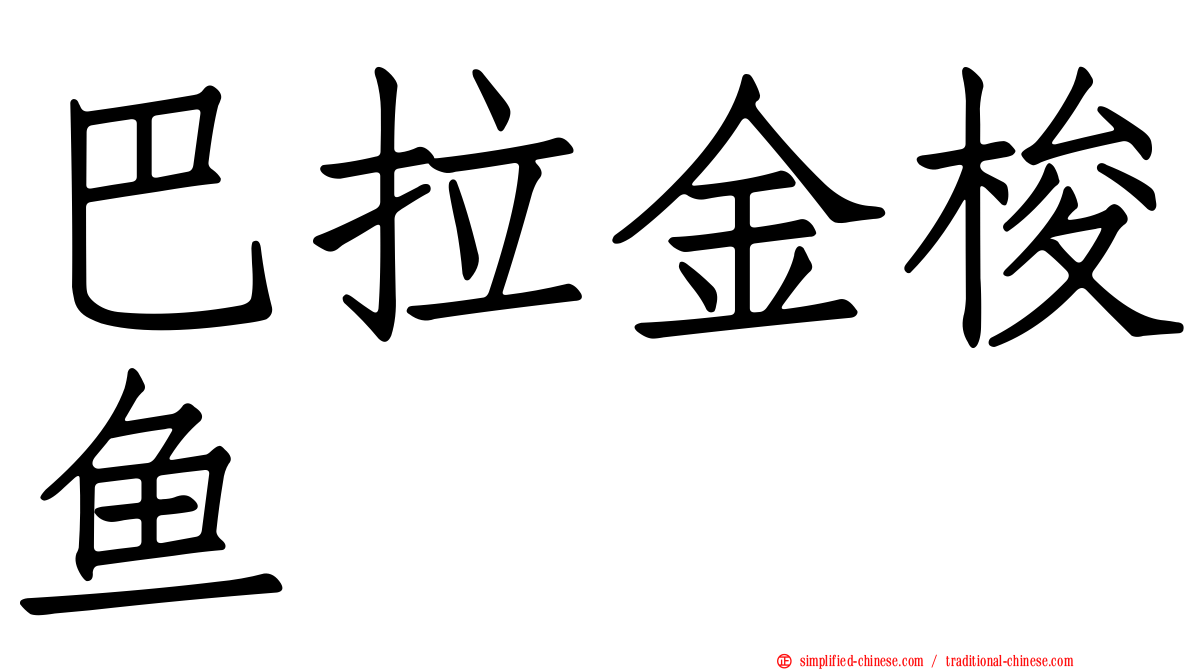 巴拉金梭鱼