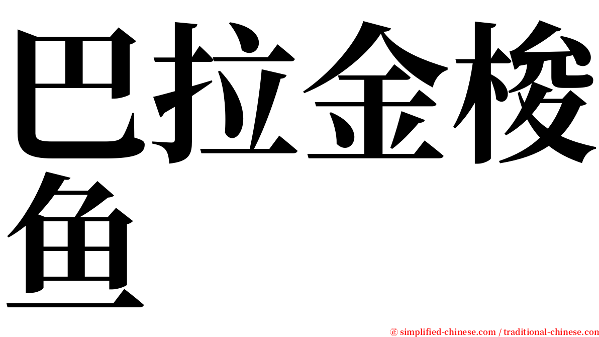 巴拉金梭鱼 serif font