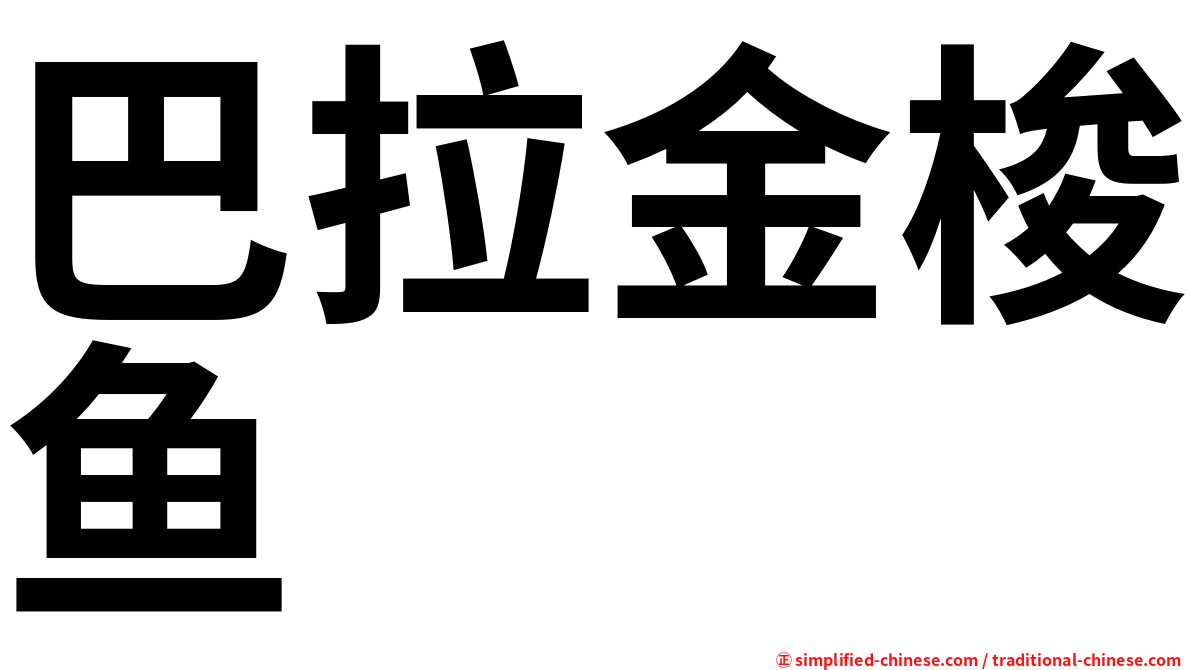 巴拉金梭鱼