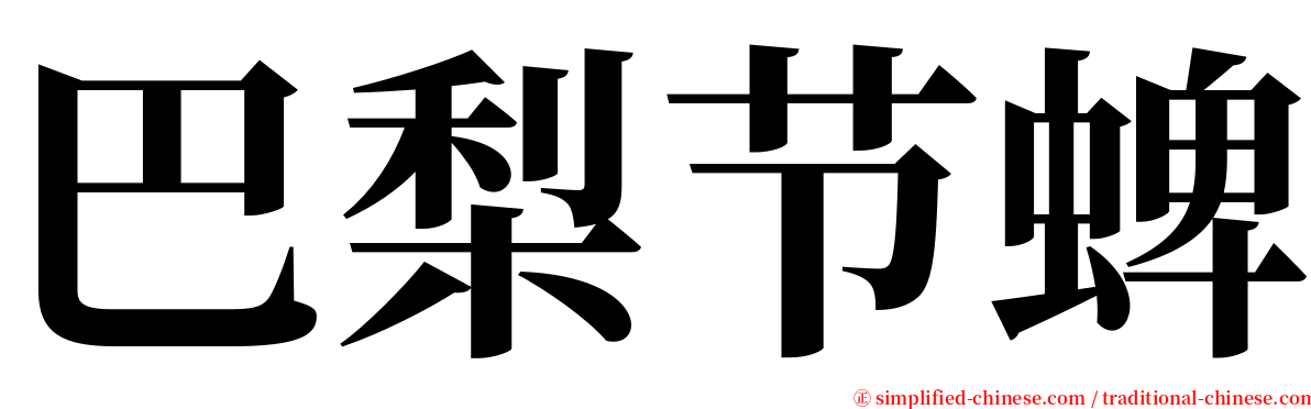 巴梨节蜱 serif font