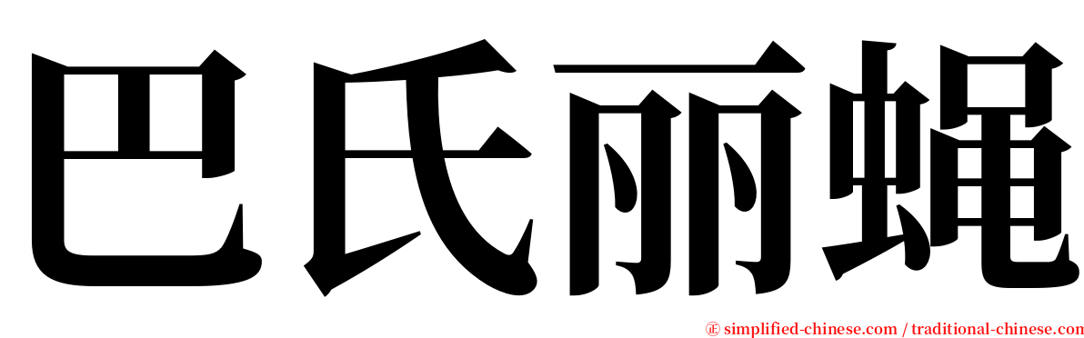 巴氏丽蝇 serif font