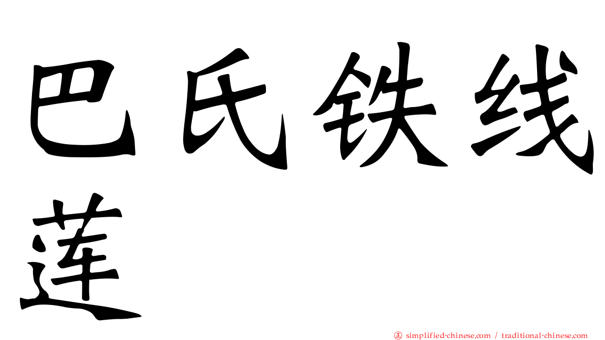 巴氏铁线莲