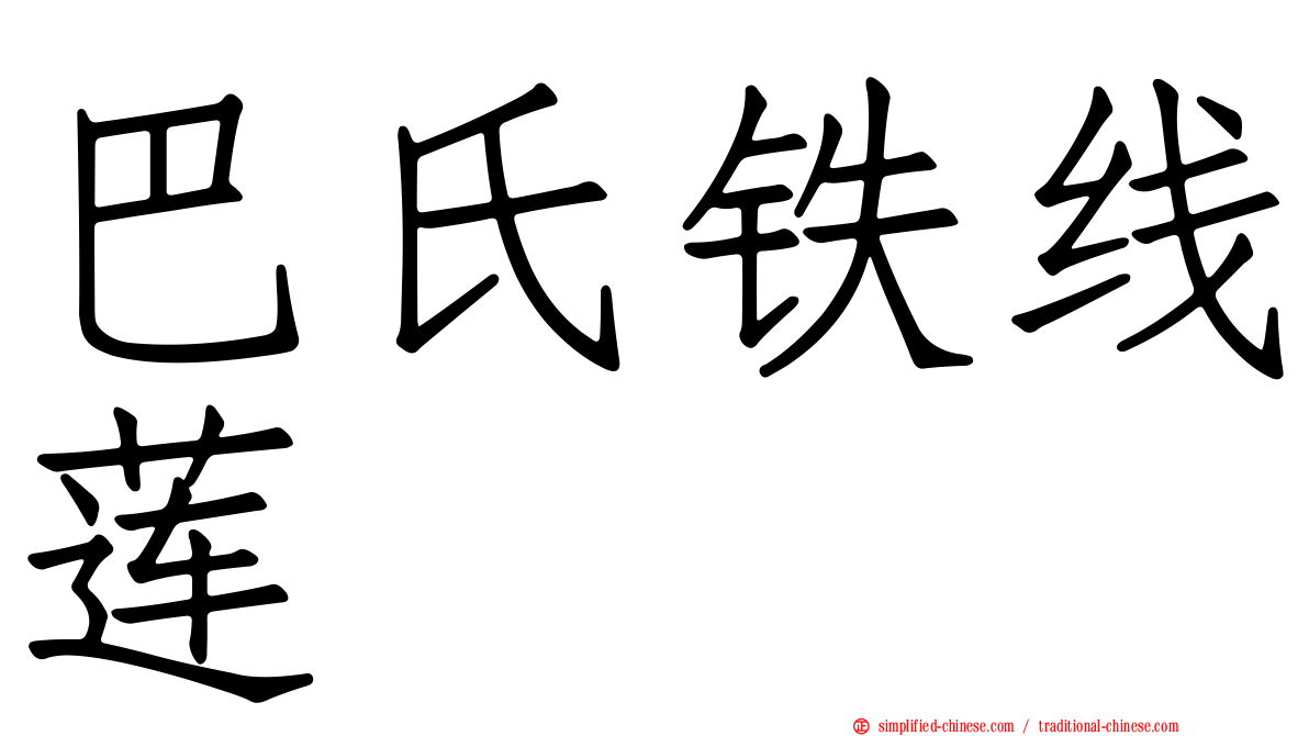 巴氏铁线莲