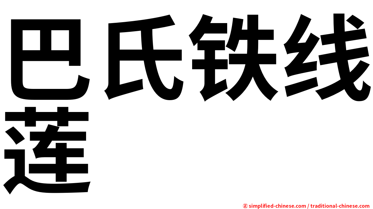 巴氏铁线莲