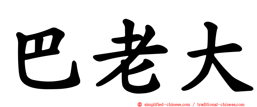 巴老大