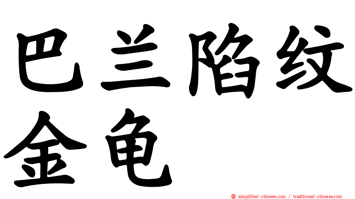巴兰陷纹金龟
