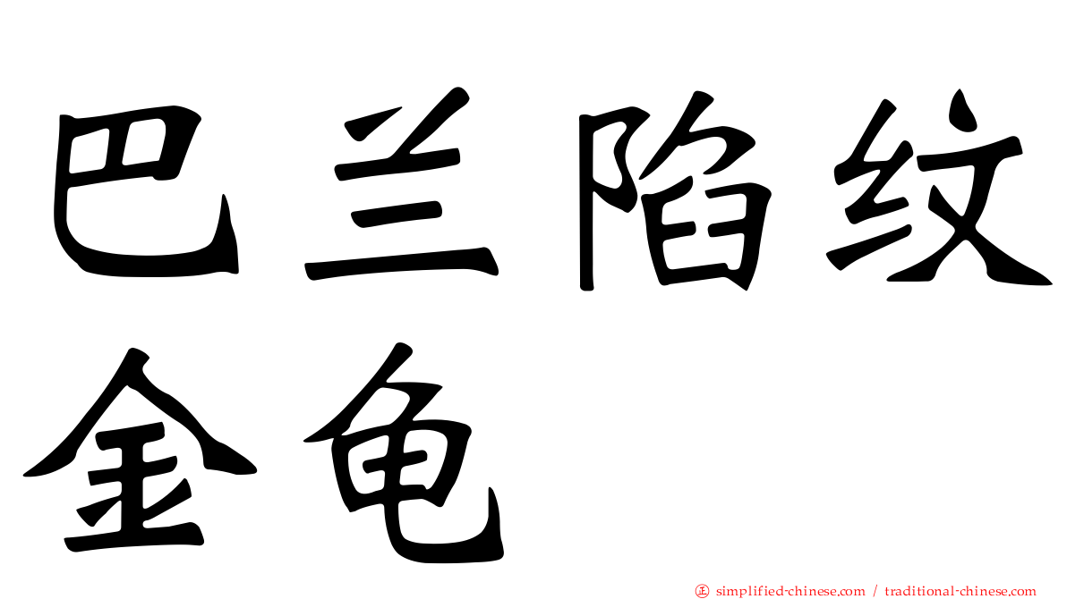 巴兰陷纹金龟