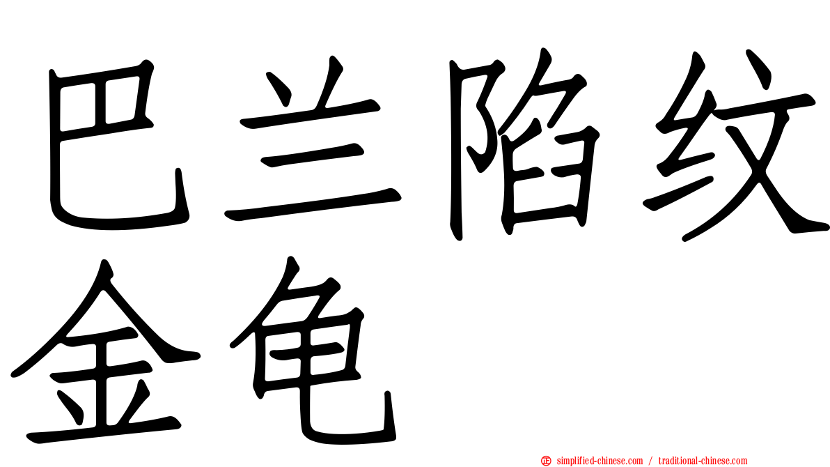巴兰陷纹金龟