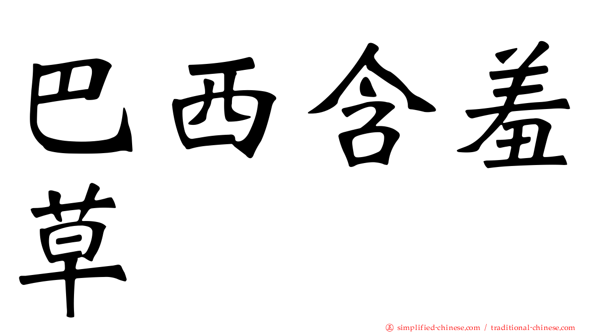 巴西含羞草