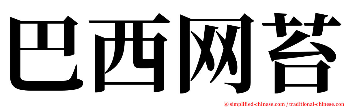 巴西网苔 serif font