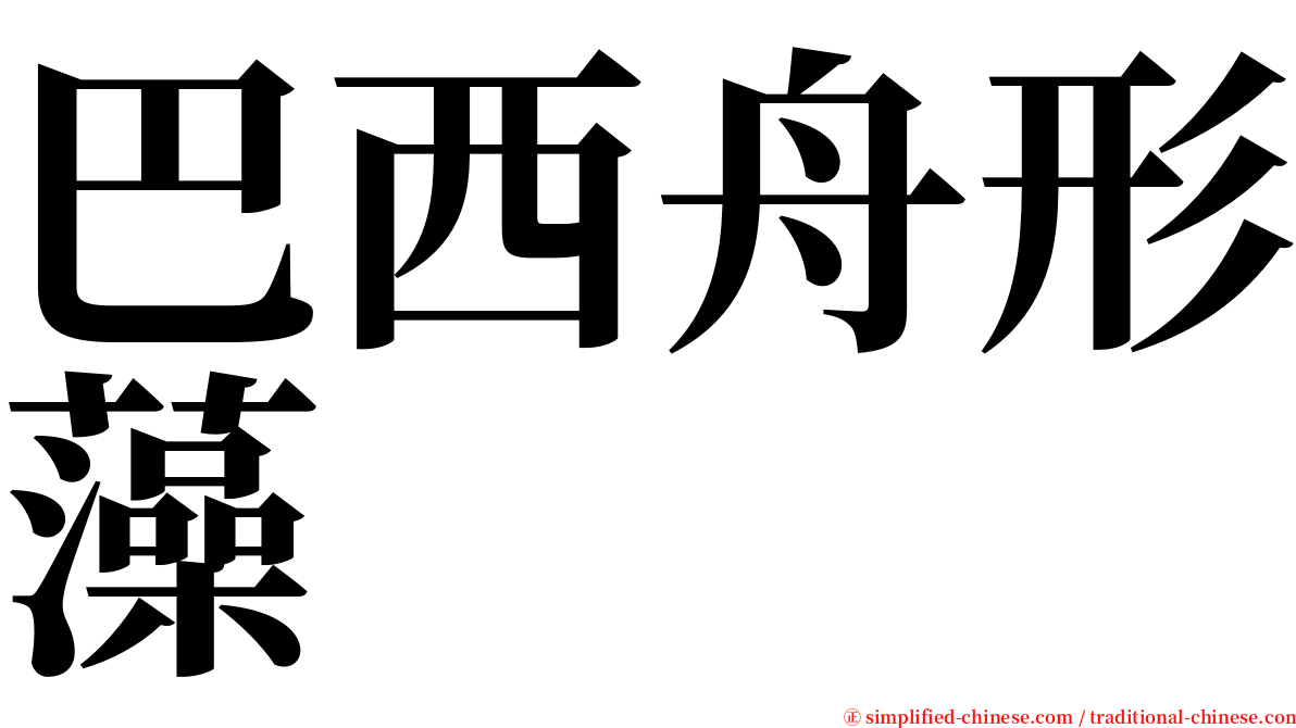 巴西舟形藻 serif font