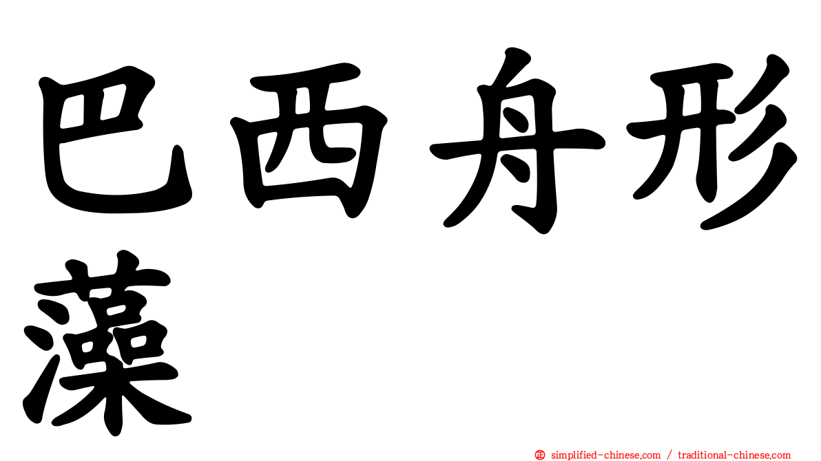 巴西舟形藻