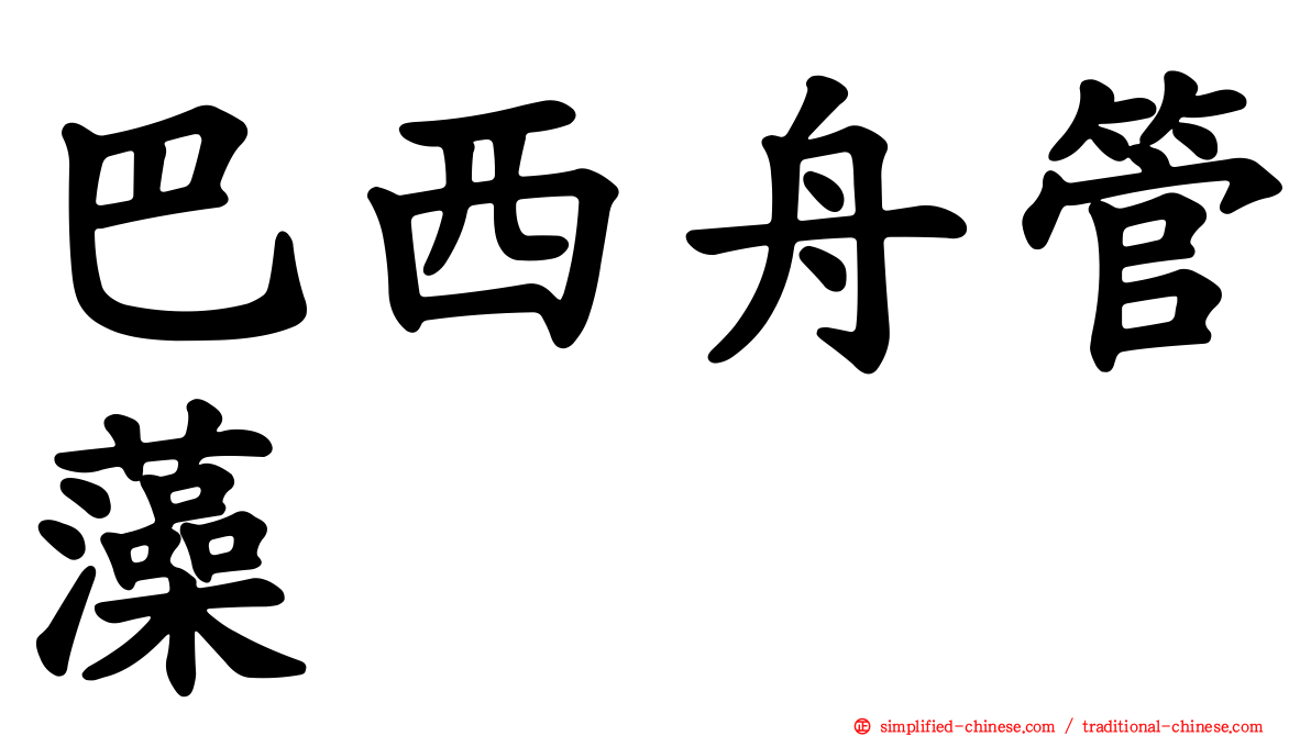 巴西舟管藻
