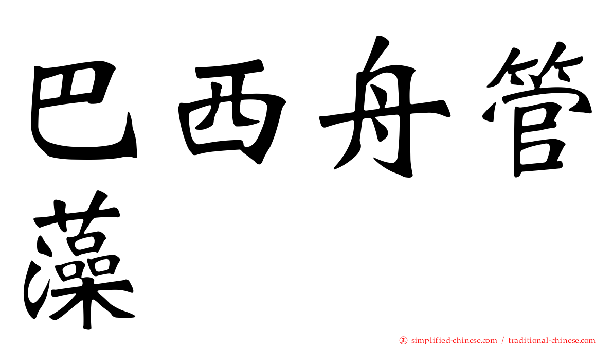 巴西舟管藻