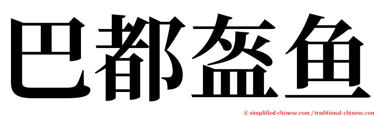 巴都盔鱼 serif font