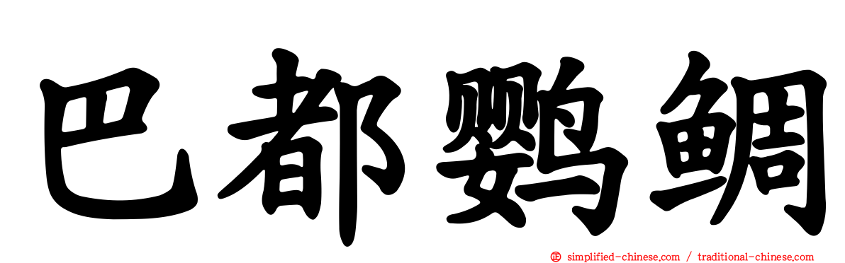 巴都鹦鲷