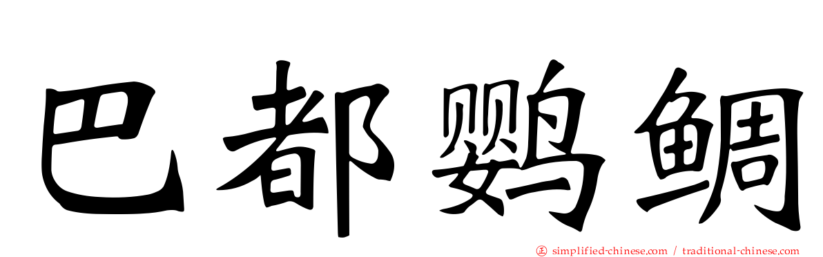 巴都鹦鲷