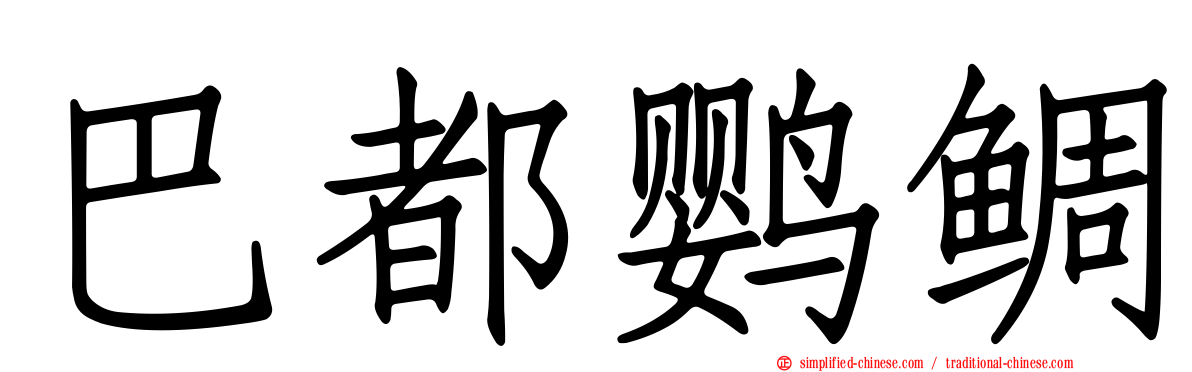巴都鹦鲷
