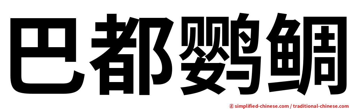 巴都鹦鲷