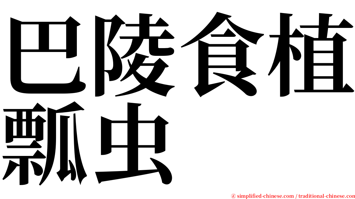 巴陵食植瓢虫 serif font