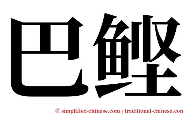 巴鲣 serif font