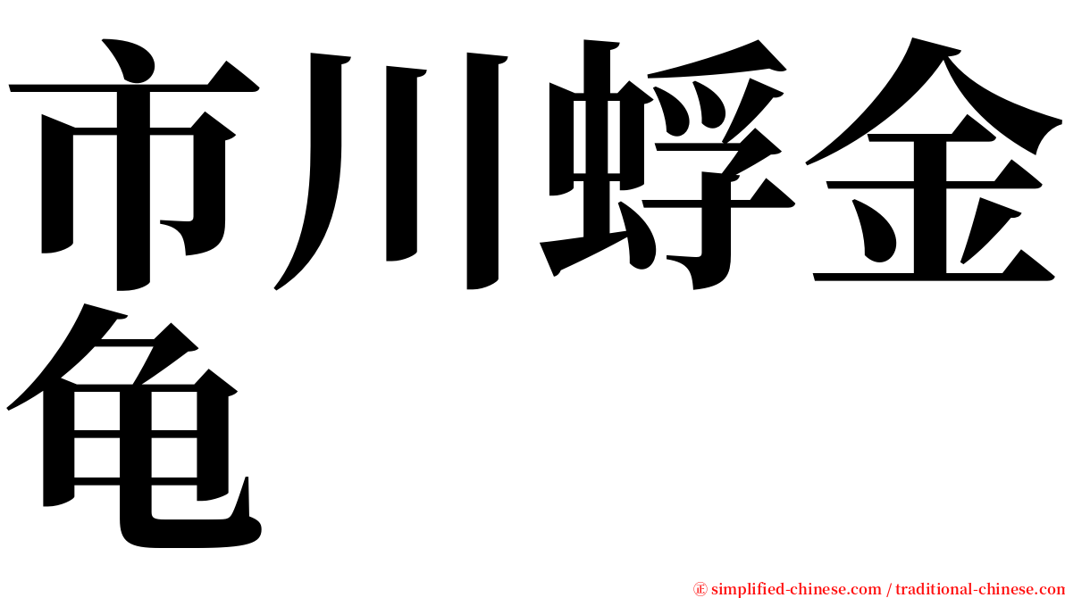 市川蜉金龟 serif font