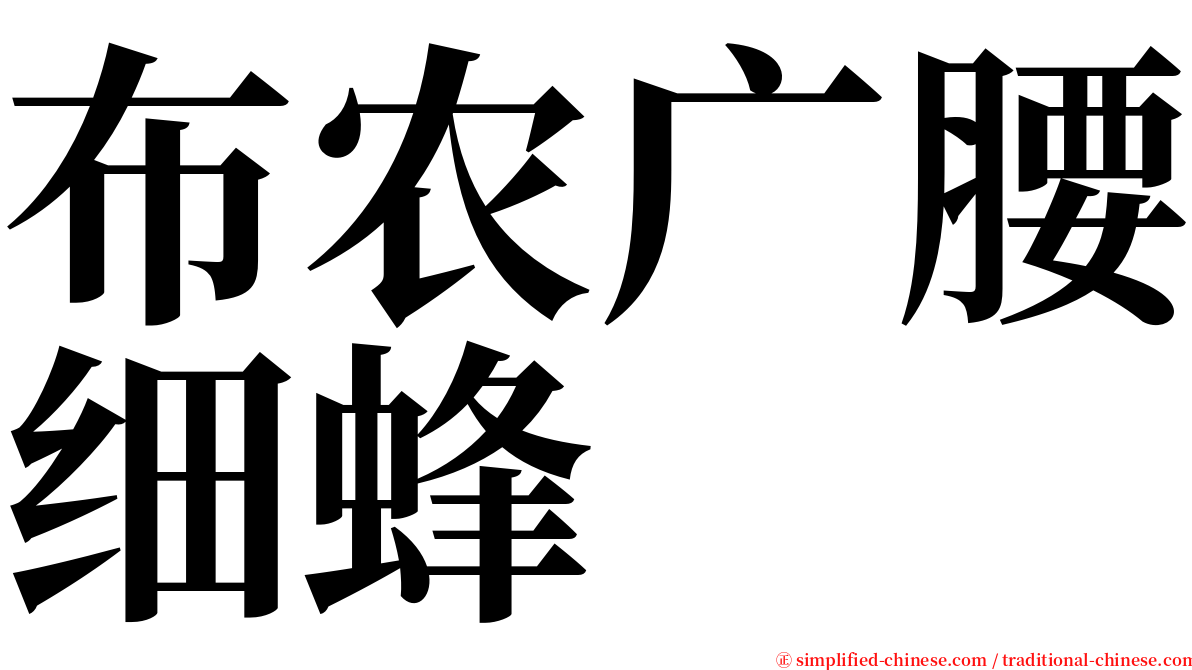 布农广腰细蜂 serif font