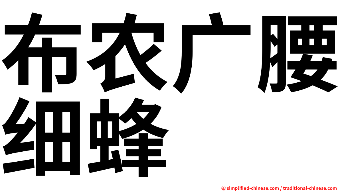 布农广腰细蜂