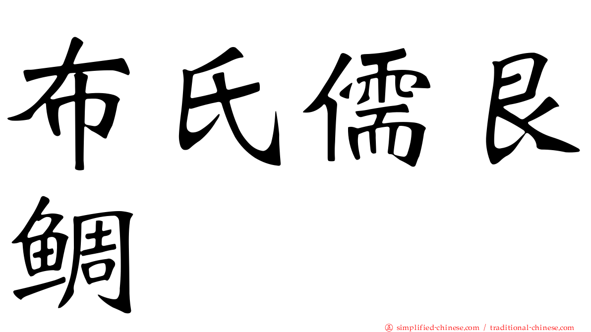 布氏儒艮鲷
