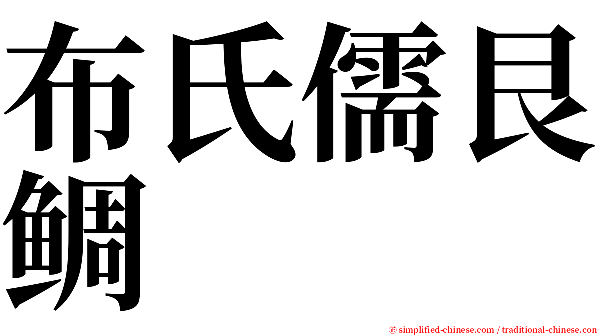 布氏儒艮鲷 serif font
