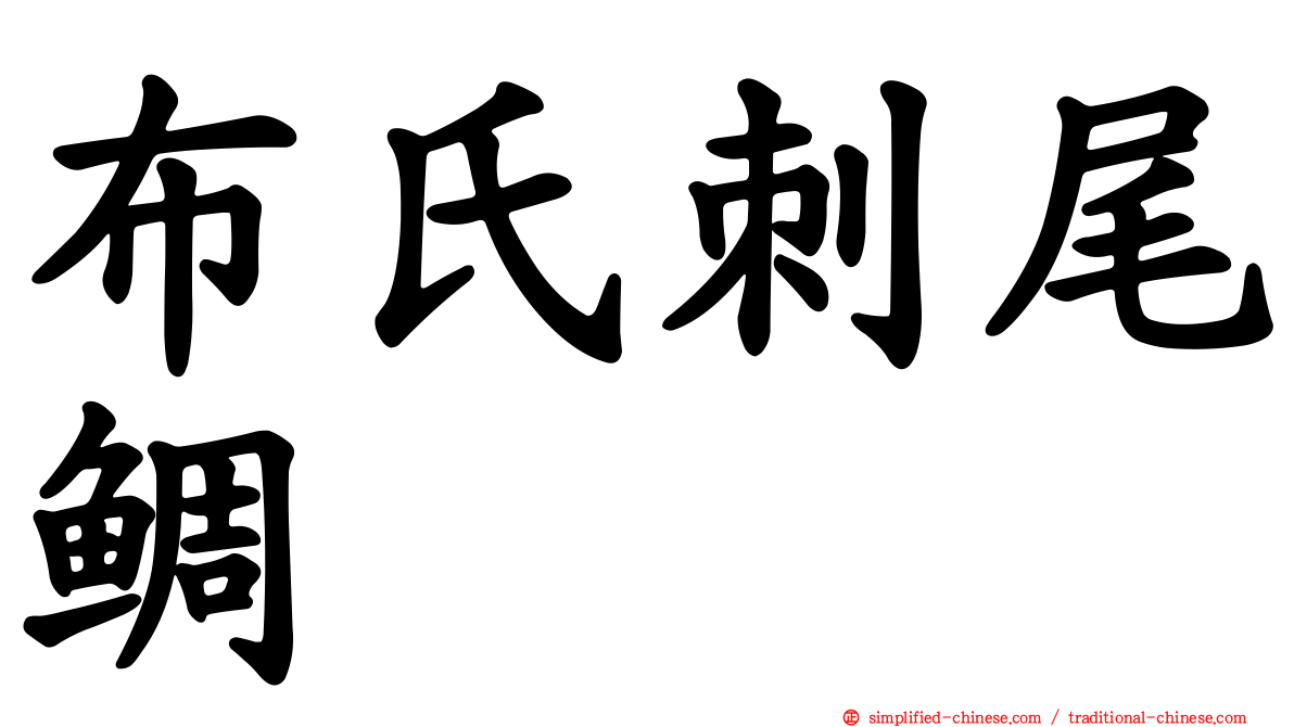 布氏刺尾鲷