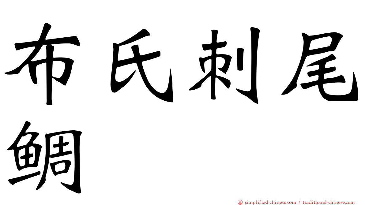 布氏刺尾鲷