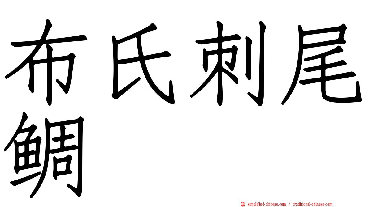 布氏刺尾鲷