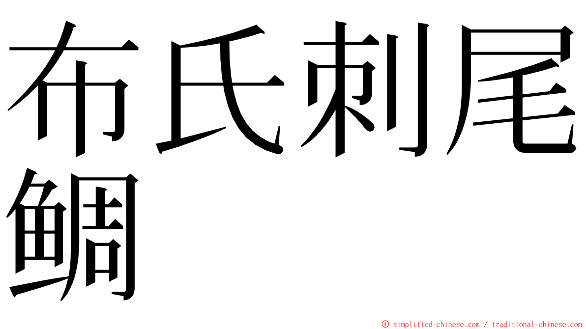 布氏刺尾鲷 ming font
