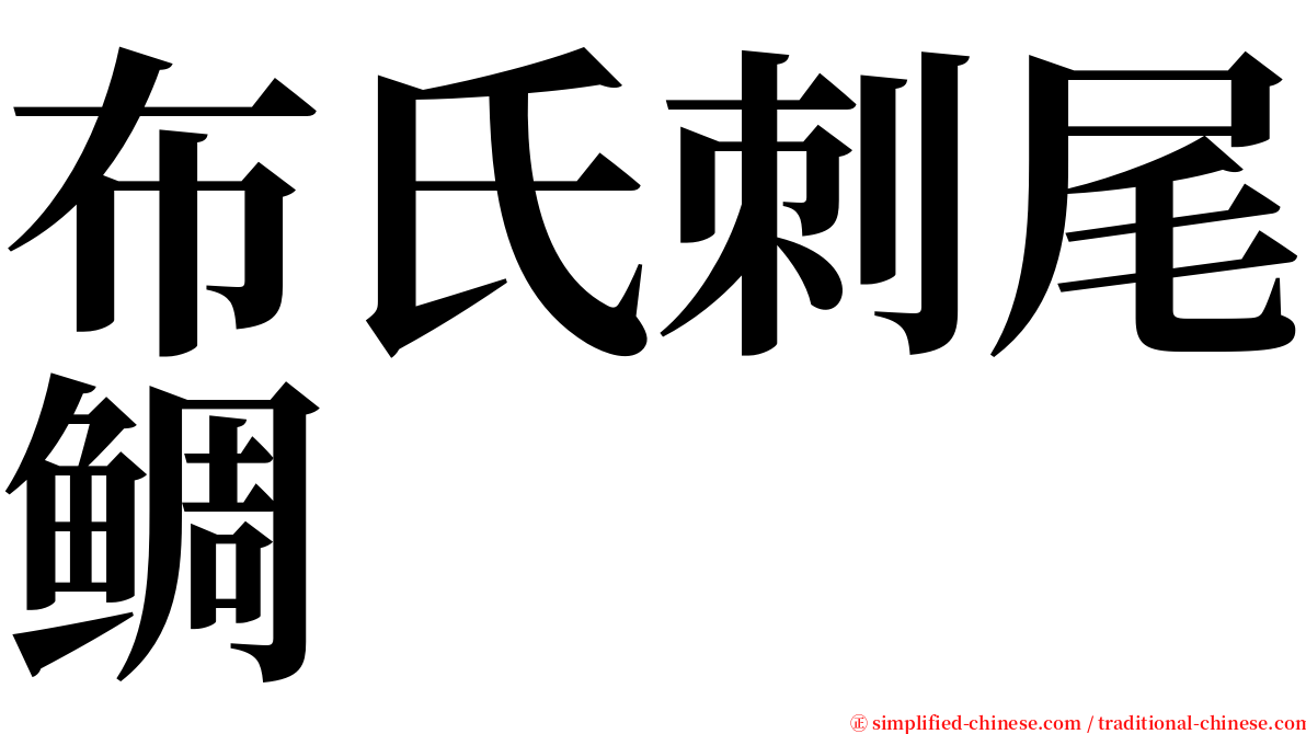 布氏刺尾鲷 serif font