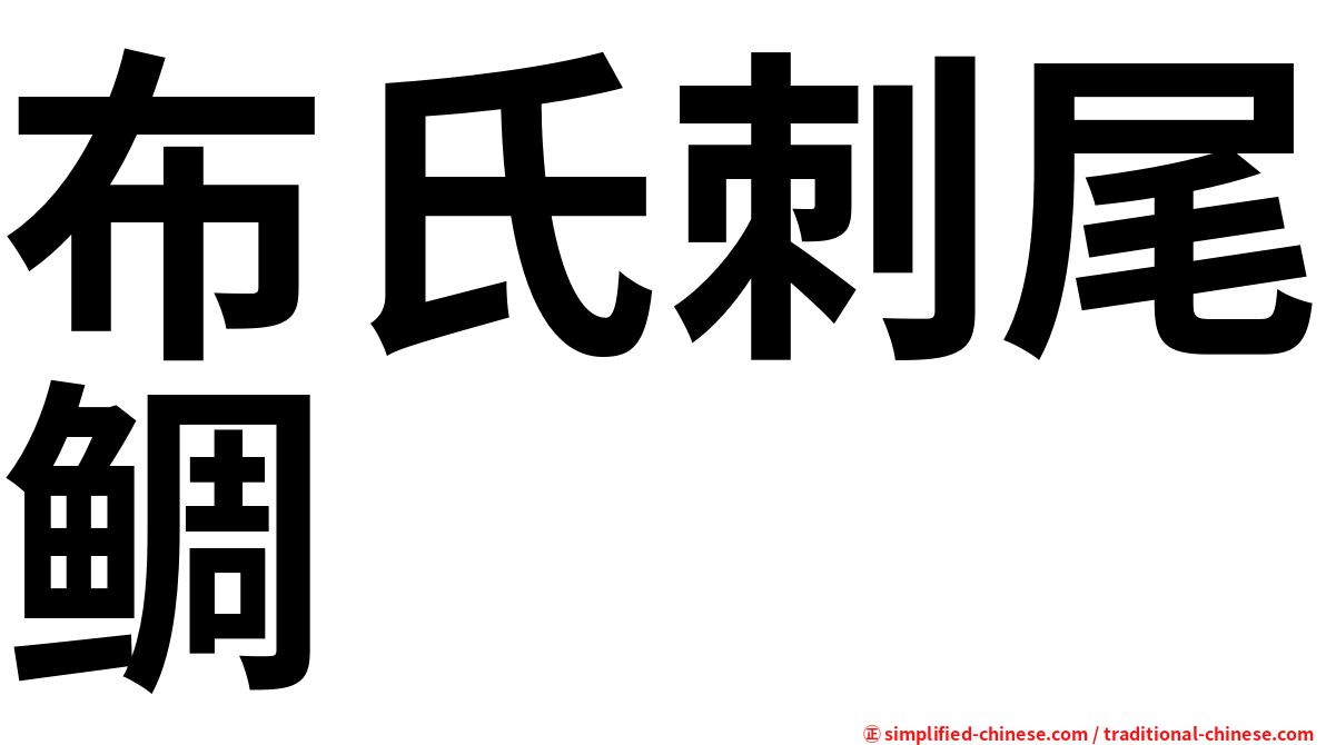 布氏刺尾鲷