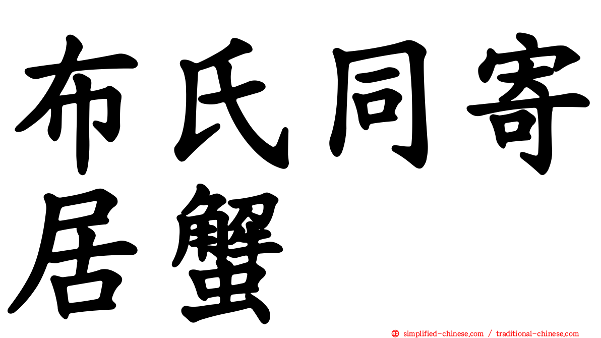 布氏同寄居蟹