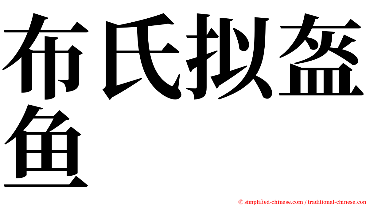 布氏拟盔鱼 serif font
