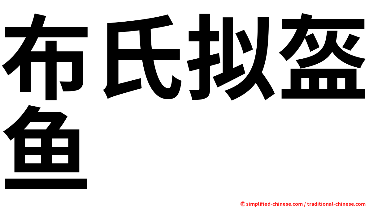 布氏拟盔鱼