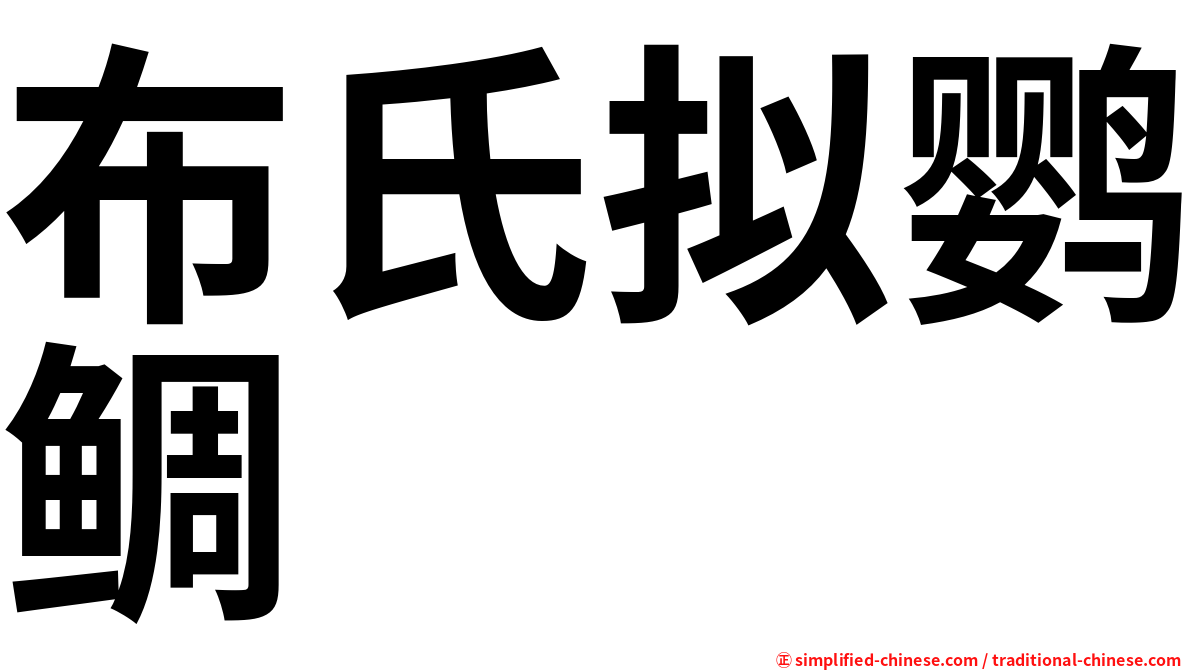 布氏拟鹦鲷
