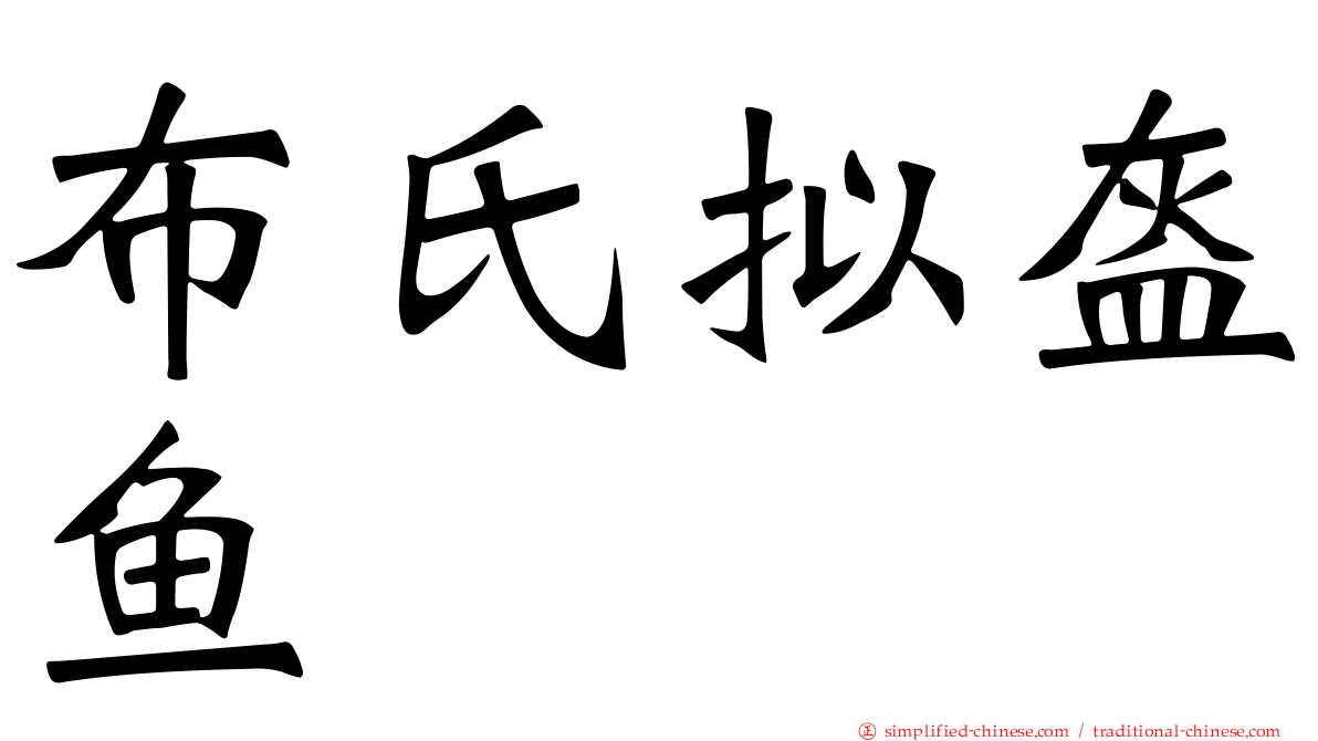 布氏拟盔鱼