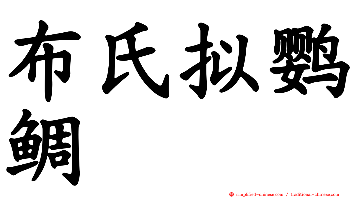 布氏拟鹦鲷