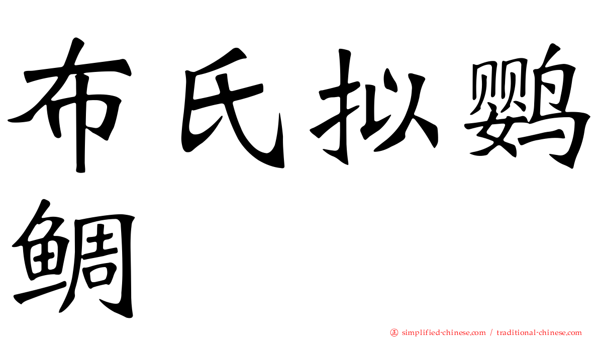 布氏拟鹦鲷
