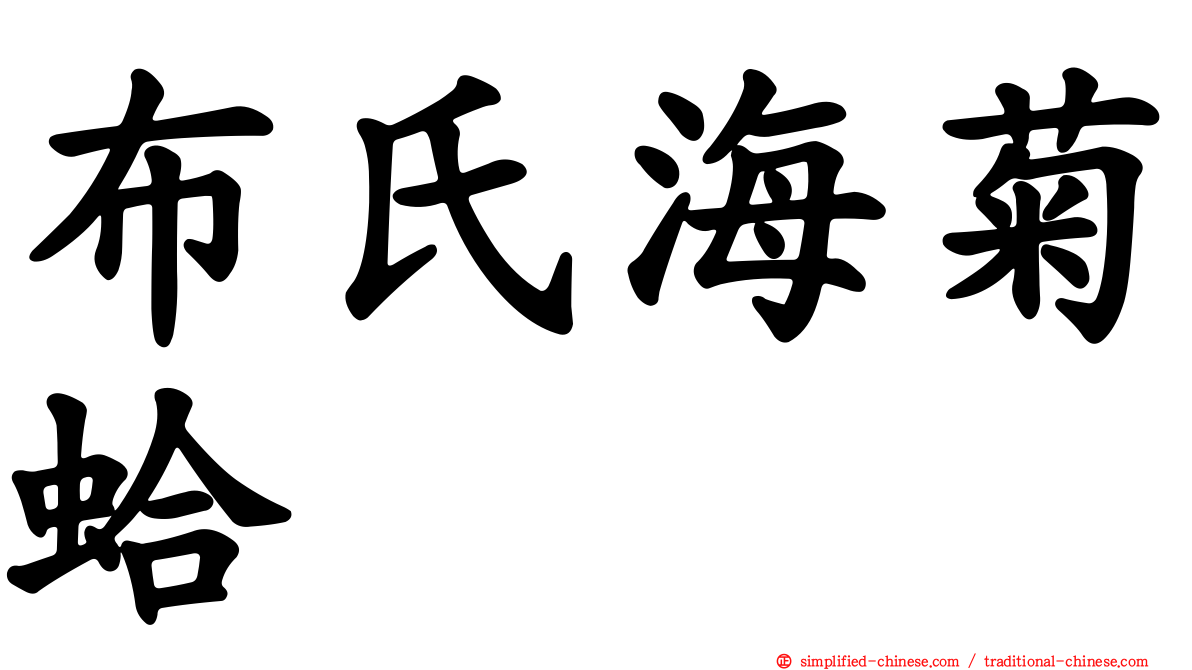 布氏海菊蛤