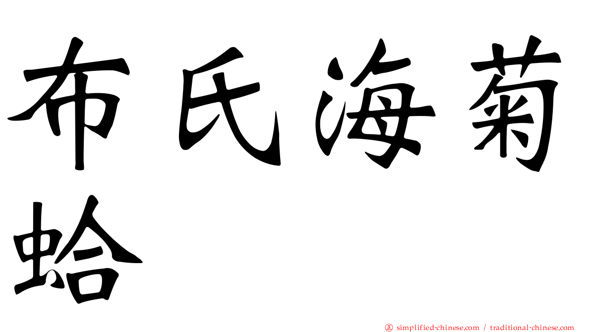 布氏海菊蛤