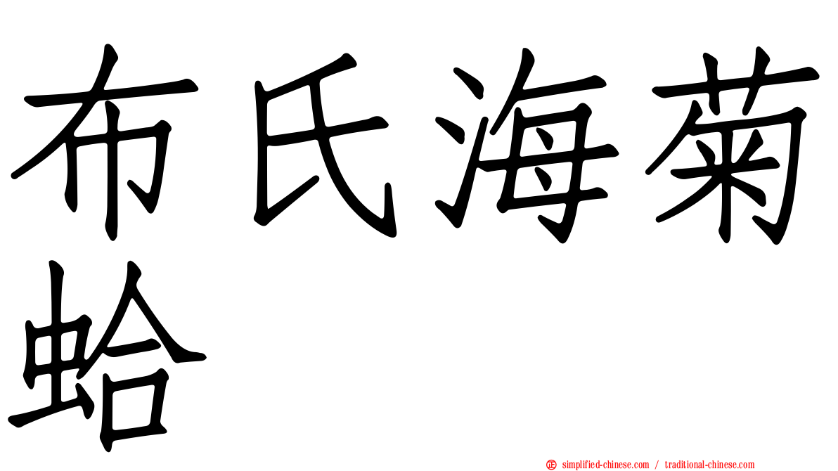 布氏海菊蛤