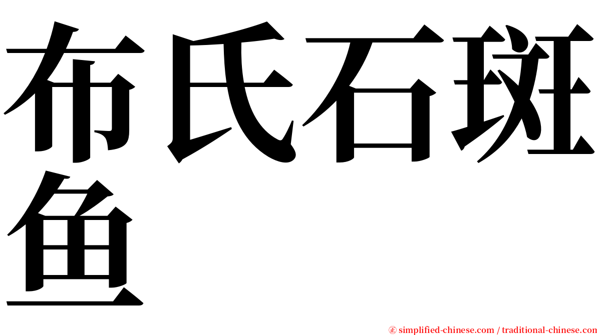 布氏石斑鱼 serif font