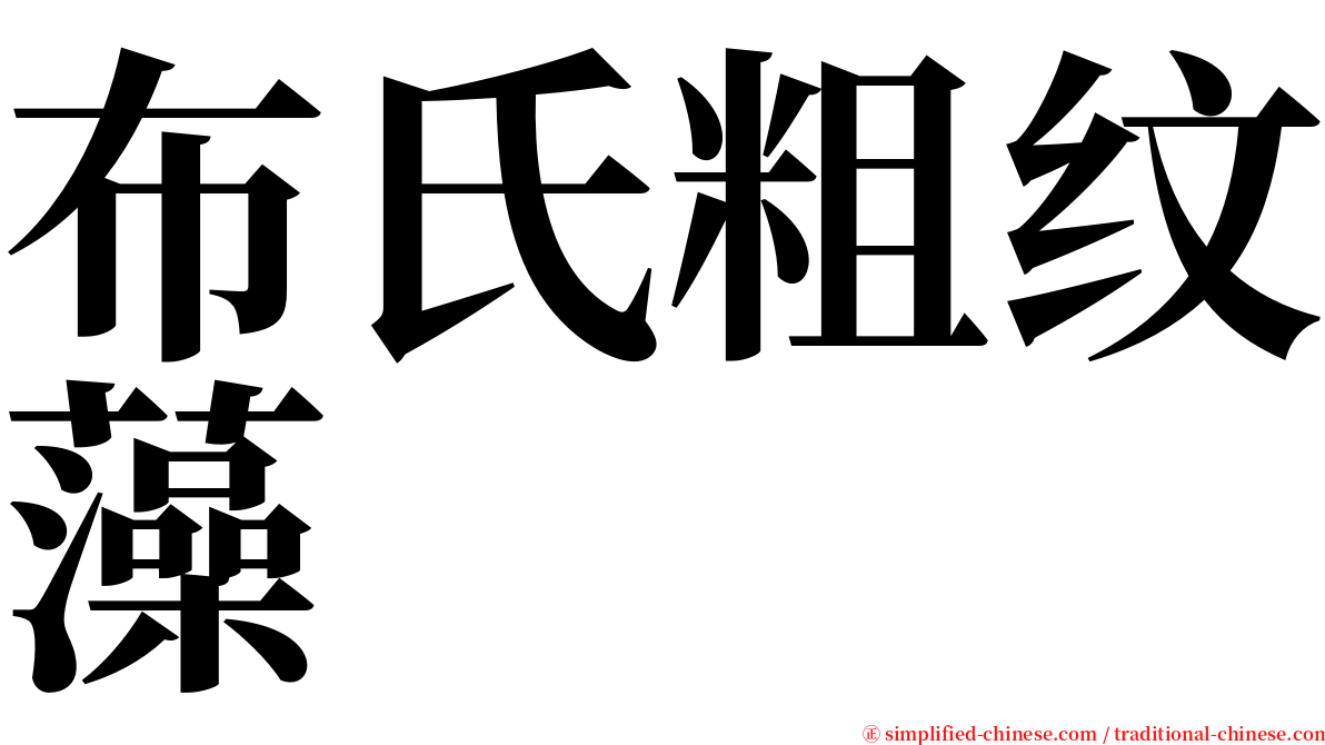 布氏粗纹藻 serif font
