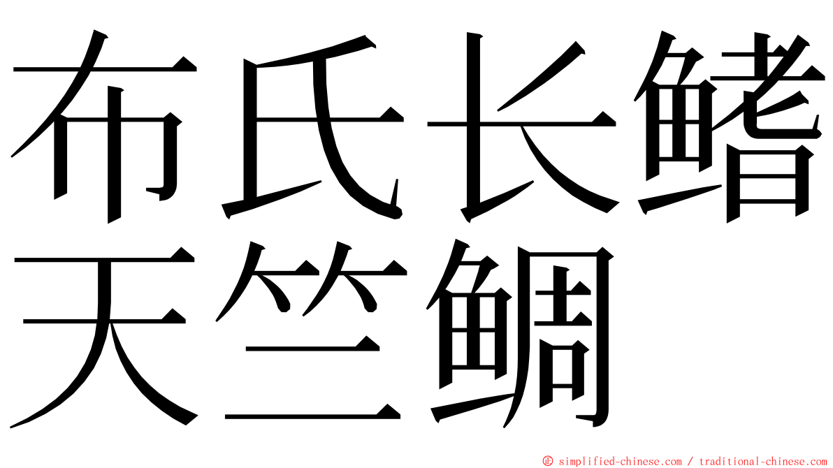 布氏长鳍天竺鲷 ming font